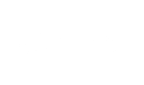 no-a-fokuszban